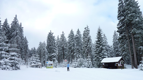 Skimagistrale