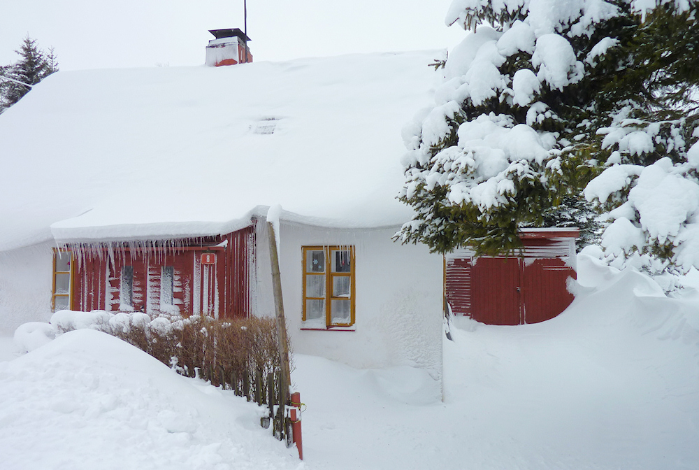 winter2012-2.jpg