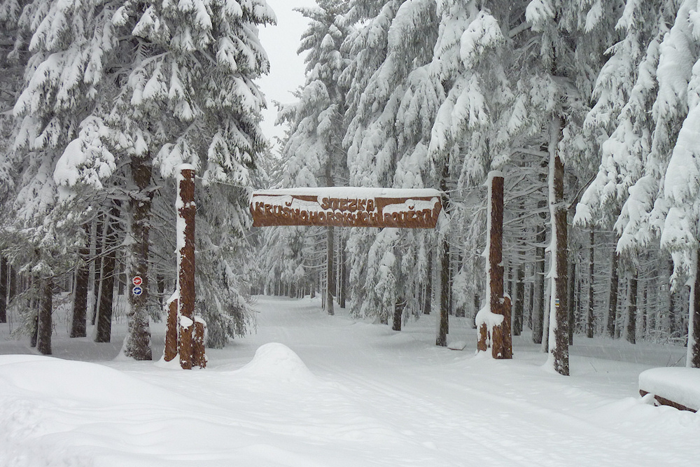 winter2012-4.jpg