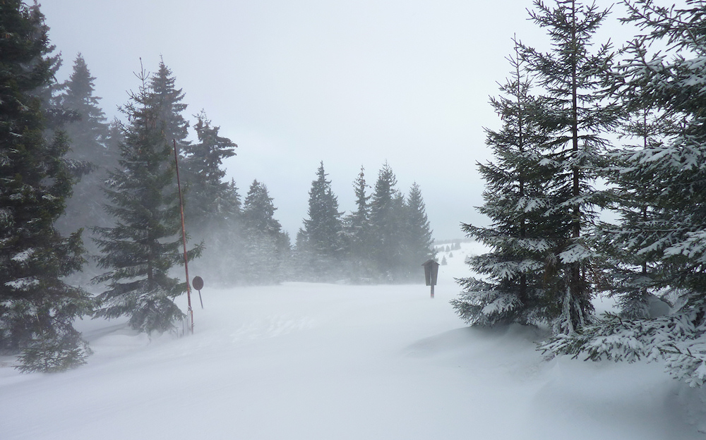 winter2012-5.jpg