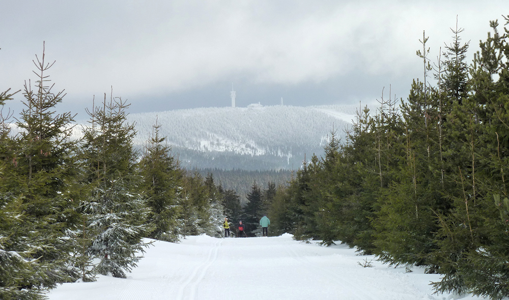winter2012-6.jpg