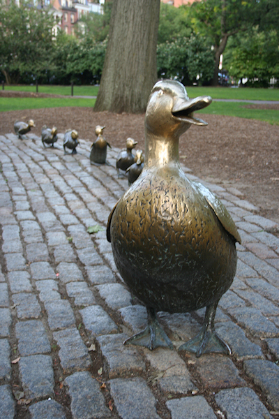 boston_10.jpg