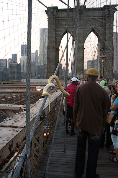 nyc6.jpg